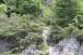 resIMG_20110630_6262.JPG